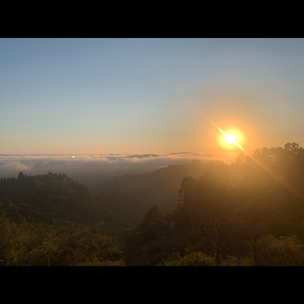 Meet your Posher, Aaliyah